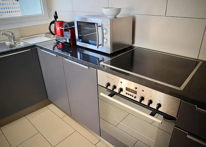 179 Comfortable Sunny Quiet Good Location And Free Parking Included Lausanne